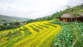 Homestay Terrace View Sapa waiting for Solos